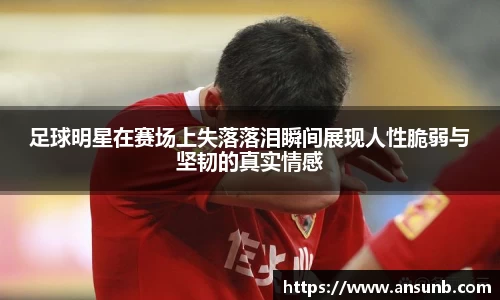 k1体育-十年品牌